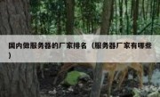 国内做服务器的厂家排名（服务器厂家有哪些）