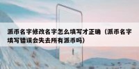 派币名字修改名字怎么填写才正确（派币名字填写错误会失去所有派币吗）