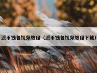 派币钱包视频教程（派币钱包视频教程下载）