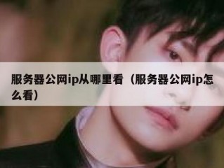 服务器公网ip从哪里看（服务器公网ip怎么看）