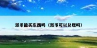 派币能买东西吗（派币可以兑现吗）