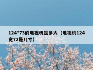 124*73的电视机是多大（电视机124宽72是几寸）