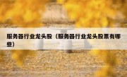 服务器行业龙头股（服务器行业龙头股票有哪些）