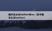 国内怎么玩twitter和ins（在中国怎么玩twitter）
