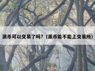 派币可以交易了吗?（派币能不能上交易所）