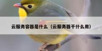云服务容器是什么（云服务器干什么用）