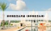 派币钱包怎么开通（派币钱包怎么用）