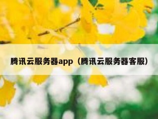 腾讯云服务器app（腾讯云服务器客服）