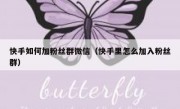 快手如何加粉丝群微信（快手里怎么加入粉丝群）