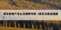 派币新用户怎么注册账号啊（派币注册流程图）