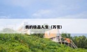 我的极品人生（苏雪）