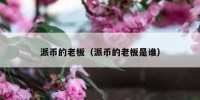 派币的老板（派币的老板是谁）