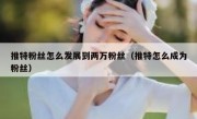 推特粉丝怎么发展到两万粉丝（推特怎么成为粉丝）