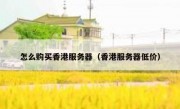 怎么购买香港服务器（香港服务器低价）