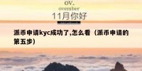 派币申请kyc成功了,怎么看（派币申请的第五步）