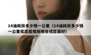 14油耗投多少钱一公里（14油耗投多少钱一公里买高层楼房哪些楼层最好）