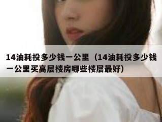14油耗投多少钱一公里（14油耗投多少钱一公里买高层楼房哪些楼层最好）