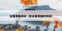 云服务器利润（卖云服务器的利润）