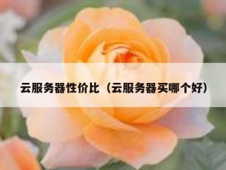 云服务器性价比（云服务器买哪个好）