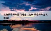 北京限号开车处罚规定（北京 限号开车怎么处罚）