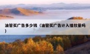 油管买广告多少钱（油管买广告计入播放量吗）