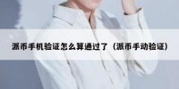 派币手机验证怎么算通过了（派币手动验证）