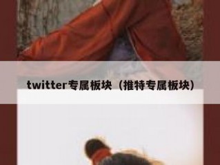 twitter专属板块（推特专属板块）
