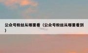 公众号粉丝从哪里看（公众号粉丝从哪里看到）