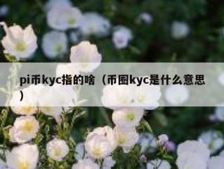 pi币kyc指的啥（币圈kyc是什么意思）
