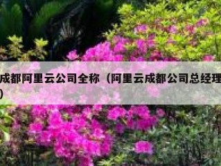 成都阿里云公司全称（阿里云成都公司总经理）