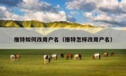 推特如何改用户名（推特怎样改用户名）