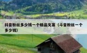抖音粉丝多少钱一个精品文案（斗音粉丝一个多少钱）