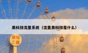 黑科技流量系统（流量黑科技是什么）