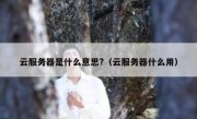 云服务器是什么意思?（云服务器什么用）