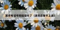 派币电话号码验证不了（派币总登不上去）