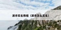 派币实名教程（派币怎么实名）