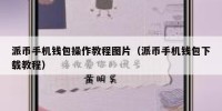 派币手机钱包操作教程图片（派币手机钱包下载教程）