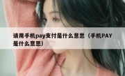请用手机pay支付是什么意思（手机PAY是什么意思）