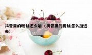 抖音里的粉丝怎么加（抖音里的粉丝怎么加进去）