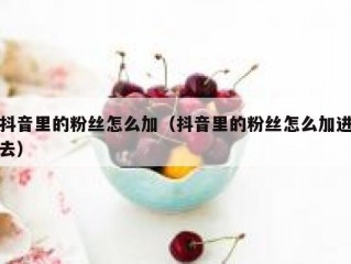 抖音里的粉丝怎么加（抖音里的粉丝怎么加进去）