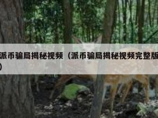 派币骗局揭秘视频（派币骗局揭秘视频完整版）