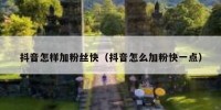 抖音怎样加粉丝快（抖音怎么加粉快一点）