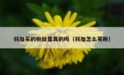 抖加买的粉丝是真的吗（抖加怎么买粉）