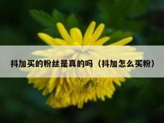 抖加买的粉丝是真的吗（抖加怎么买粉）