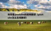 如何看youtube的视频翻译（youtube怎么在线翻译）