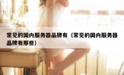 常见的国内服务器品牌有（常见的国内服务器品牌有那些）