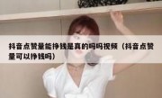 抖音点赞量能挣钱是真的吗吗视频（抖音点赞量可以挣钱吗）