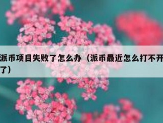 派币项目失败了怎么办（派币最近怎么打不开了）