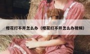 樱花打不开怎么办（樱花打不开怎么办视频）