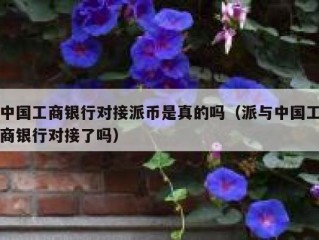 中国工商银行对接派币是真的吗（派与中国工商银行对接了吗）